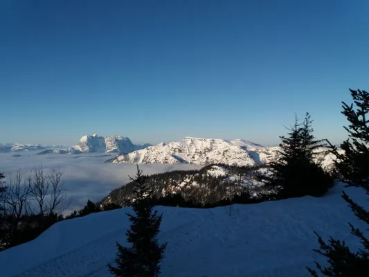 Ski fahren @ Steinplatte