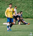 1. - 1. Spieltag - FC Ludwigsvorstadt