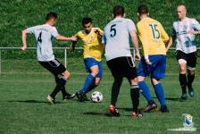 1. - 1. Spieltag - FC Ludwigsvorstadt
