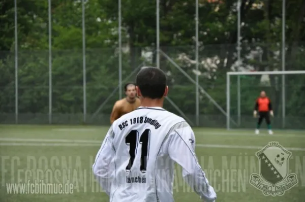 Die Saison 2009 / 2010